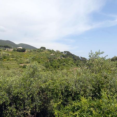 Villa Caribe Affittacamere Monterosso al Mare Kültér fotó